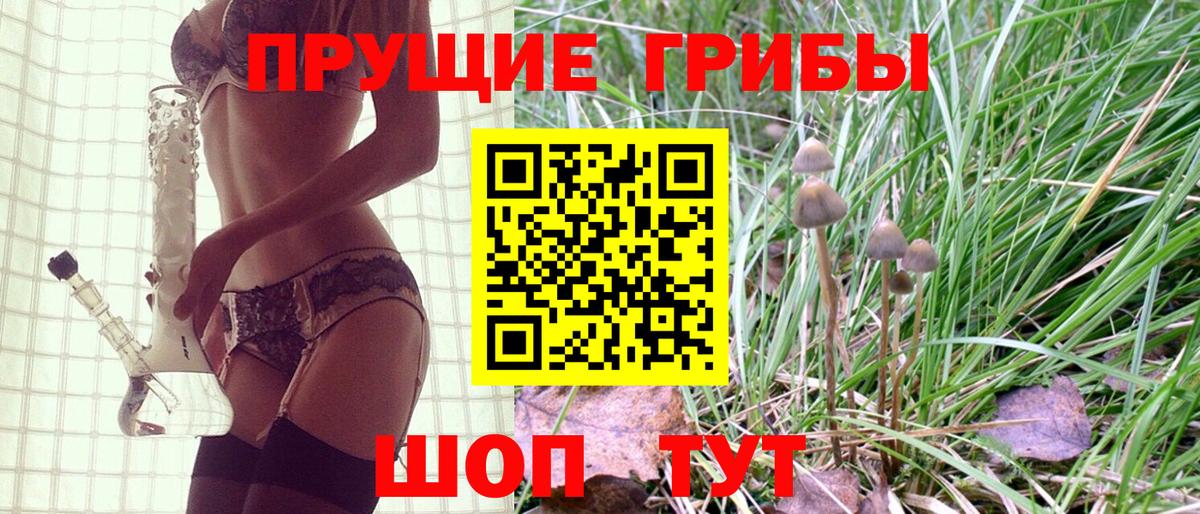 Псилоцибиновые грибы ЛСД  Вход с VPN  Дубна  Псилоцибиновые грибы Psilocybe 